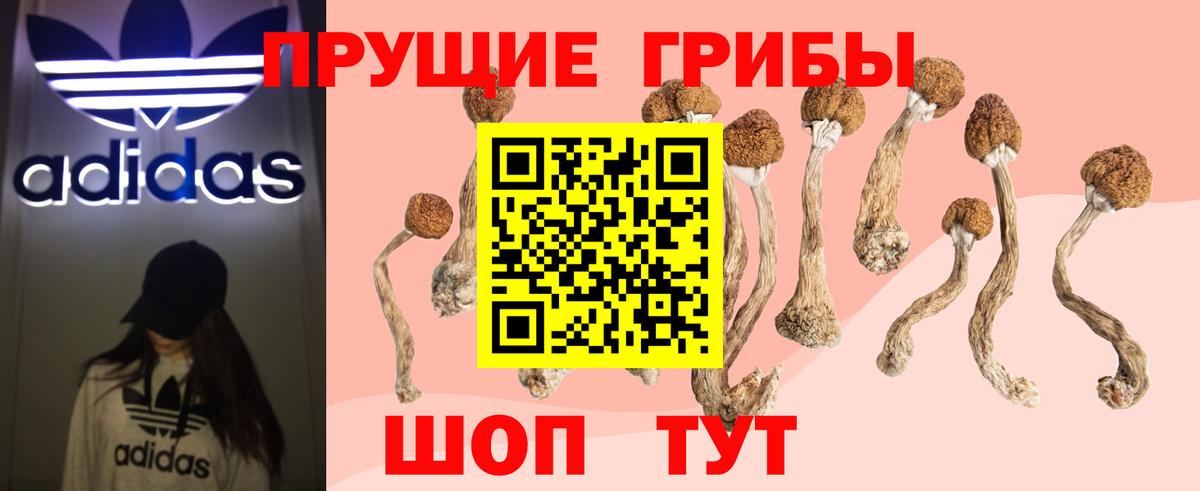 наркота  Вход с VPN  Алатырь  Псилоцибиновые грибы прущие грибы  Галлюциногенные грибы GOLDEN TEACHER 
